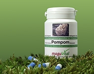 Erleben Sie den deutschlandweiten Versand des hochwertigen Hericiumsbekannt als Affenkopfpilz bekannt mit einem Vitalstoffgehalt von 30 Prozent, erhältlich im Sortiment der MaguVital Oberpfälzer Waldfrüchte GmbH aus Sulzbach-Rosenberg